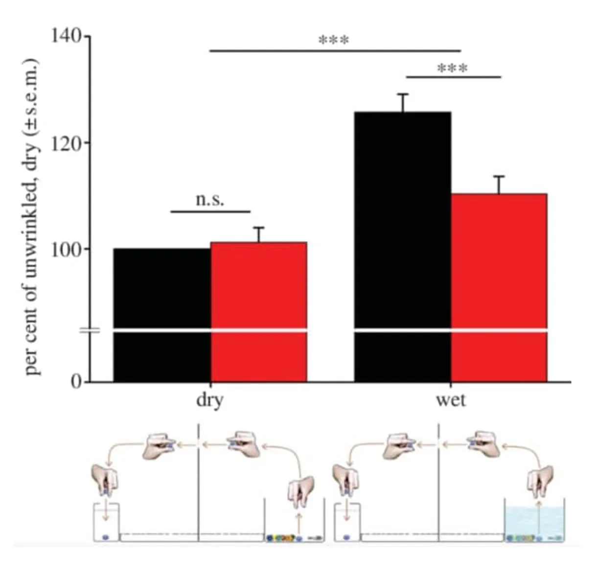 図3 Kareklas et al. (2013) による実験結果。乾燥した物体 (dry) を指で移動させるのにかかった時間はシワのある指 (赤) とシワのない指 (黒) で差が見られなかったが、水没した物体 (wet) を指で移動させるのにかかった時間はシワのある指の方が短い。実験は右手の親指と人差指で物体をつまみ、穴から左手に通し、蓋に穴の空いた箱に入れる。